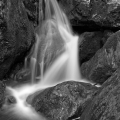ws_land_03