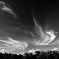ws_land_04