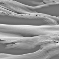 ws_land_05