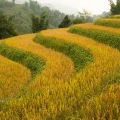 ws_land_08
