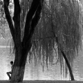 ws_viet12_03